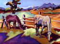 Cedar Pastures9