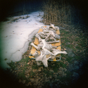 Bones, Colorado  1988