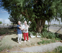 Women and Cats by National Champion Tamarisk Tree, New Mexico  2000