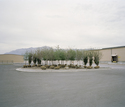  Trees, Ogden, Utah 2005