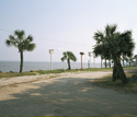 Martin Houses, Florida 2006
