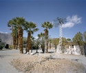 Christmas Tree, Barrego Springs, California  1999