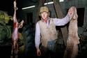 Brad with Coyote, Oregon  1986