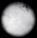 Rabbit Tracks, Utah  2000