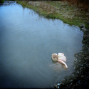 Michelle Listening to Water, Oregon  1986