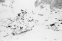 Bear River Massacre Site, Idaho
