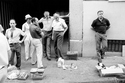 Ferrets, Spain  1984