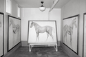 Veterinary Horse Drawings, Nebraska  1990