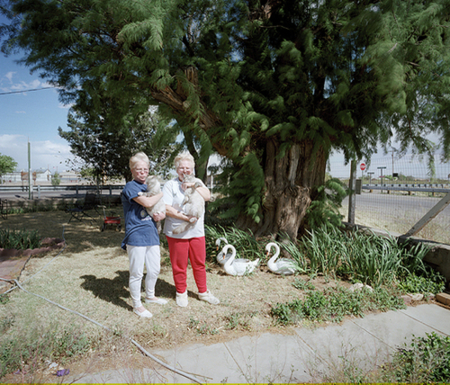 Photography-Color-Women and Cats by National Champion Tamarisk Tree, New Mexico  2000