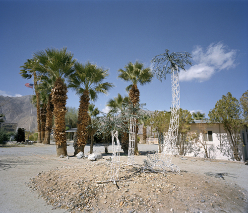 Photography-Color-Christmas Tree, Barrego Springs, California  1999