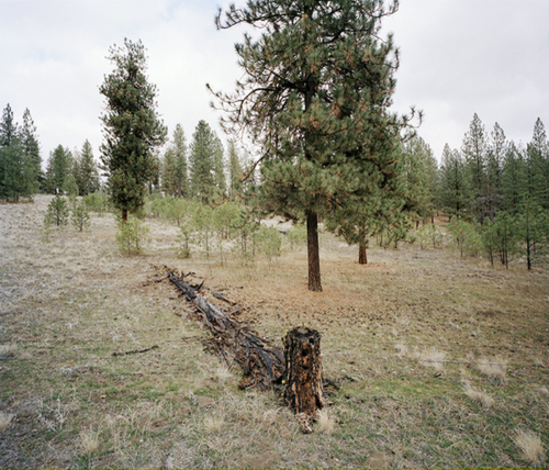 Photography-Color-Colville Reservation, Washington 2008