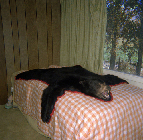 Photography-Color-Bearskin Rug, Oregon  1986