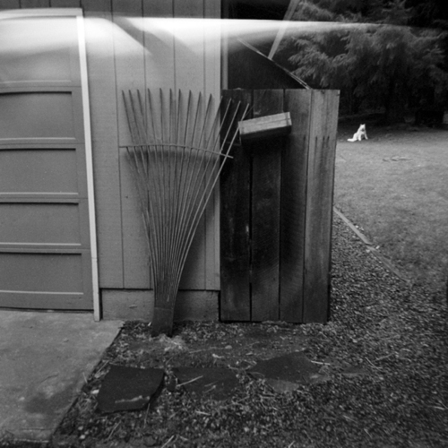 Photography-Black & White-Dog and Trellis, Oregon  1985