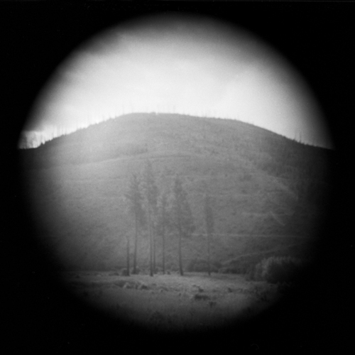Photography-Black & White-Clearcut, Montana  1994