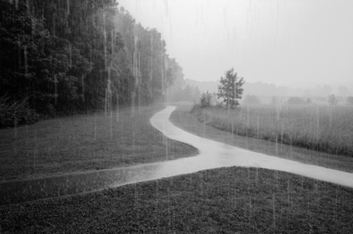 Photography-Black & White-Red Clay Council Grounds, TN