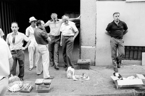 Photography-Black & White-Ferrets, Spain  1984
