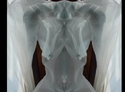 Transparently%20Thin (thumbnail)
