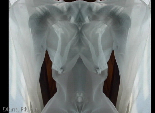 Transparently%20Thin (large view)