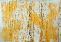 Diane Sanborn - Print Making trees, abstract, orange - Print Making