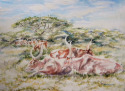 Horns of Plenty