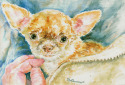 All Ears