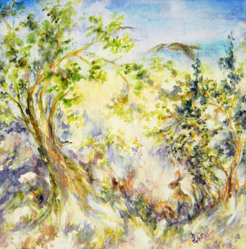 Meadow Light
