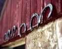Scott Davis, Wisconsin, horse, barn - Landscape Photography