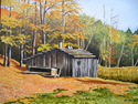 Shed%20off%20of%20Westport%20rd. (thumbnail)