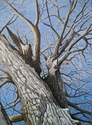 Gray%20Tree (thumbnail)
