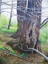 Brown%20Tree (thumbnail)
