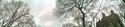Central Park sky trees lamp post Central%20Park%20sky%20trees%20lamp%20post (thumbnail)