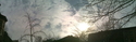 Brooklyn snow & sun Brooklyn%20snow%20%26%20sun (thumbnail)