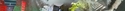 Street Street%20 (thumbnail)