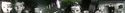 "Night of the Hunter": lambs %22Night%20of%20the%20Hunter%22%3A%20lambs (thumbnail)