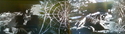 "Night of the Hunter": flight %22Night%20of%20the%20Hunter%22%3A%20flight (thumbnail)