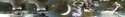 "Night of the Hunter": by the light of the moon %22Night%20of%20the%20Hunter%22%3A%20by%20the%20light%20of%20the%20moon (thumbnail)