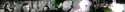 "Cat People": prey %22Cat%20People%22%3A%20prey (thumbnail)