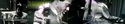 Thelonious #4 Thelonious%20%234 (thumbnail)