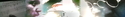 Thelonious #6 Thelonious%20%236 (thumbnail)