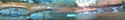 Africam%20-%20dawn (thumbnail)