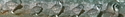Africam%20-%20Eagle%20owl%20 (thumbnail)