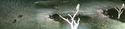 Africam%20-%20mongoose%2C%20and%20owl%20in%20tree (thumbnail)