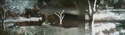 Africam%20-%20two%20places%20%40%20one%20time (thumbnail)