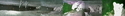 Africam%20-%20Lions%2C%20night%2C%20full%20face%20 (thumbnail)