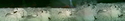 Africam%20-%20lions%20at%20night%20%235 (thumbnail)