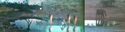 Africam%20-%20water%2C%20herd%2C%20%26%20elephant (thumbnail)