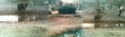 Africam%20-%20elephant%20by%20water%2C%20daylight (thumbnail)