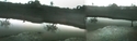 Africam%20-%20now%20there%2C%20now%20not (thumbnail)