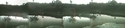 Africam%20-%20reflections%20at%20water%27s%20edge (thumbnail)