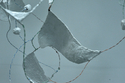 Memento - detail #3 Memento%20-%20detail%20%233 (thumbnail)